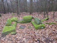 6  Saverne LE WASSERWALD 05 03 2017 26